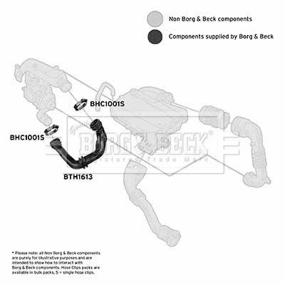 BORG & BECK Трубка нагнетаемого воздуха BTH1613